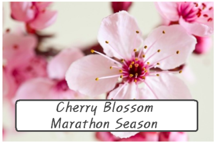 Cherry Blossom Marathon Season